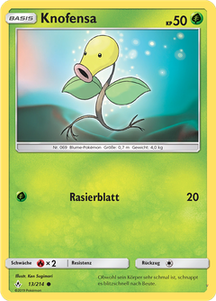 Card 13