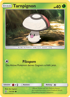 Card 13