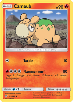 Card 23