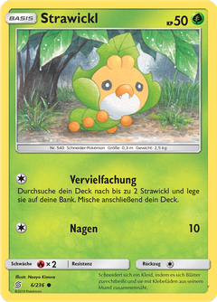 Card 6