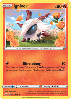 Card 23