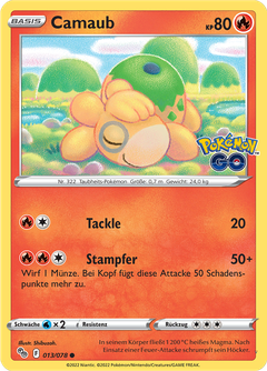 Card 13