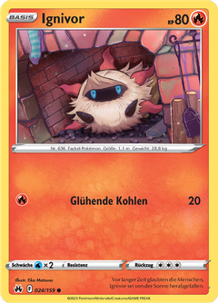 Card 24