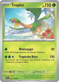 Card 7