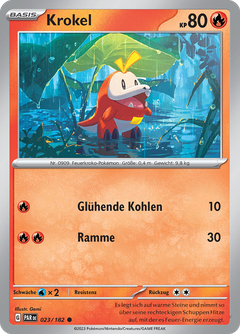 Card 23