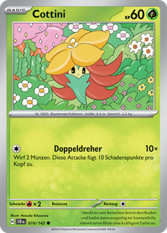 Card 10