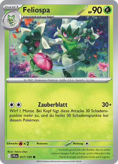 Card 17