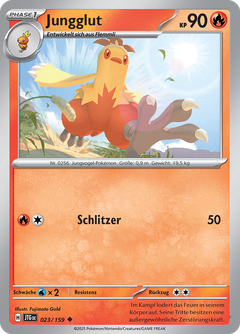 Card 23