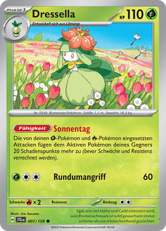 Card 7