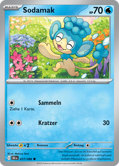 Card 17