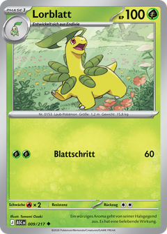 Card 9