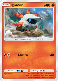 Card 13