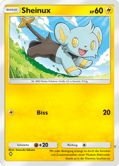 Card 13
