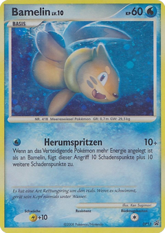 Card DP13