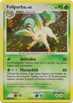 Card 7
