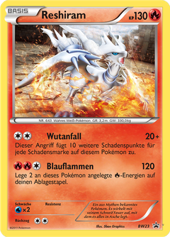 Card BW23
