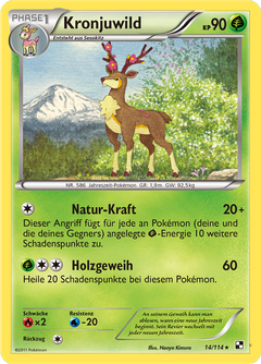 Card 14