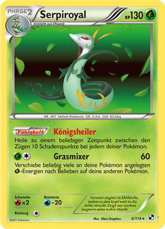 Card 6