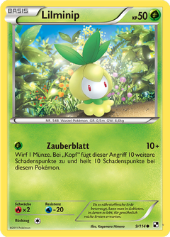 Card 9