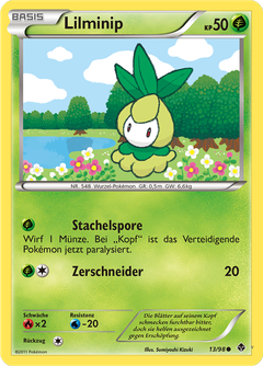 Card 13
