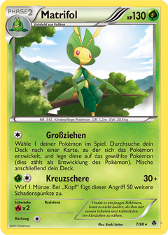 Card 7