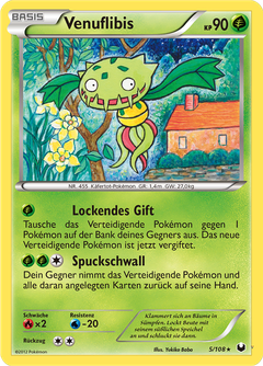 Card 5