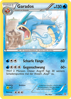 Card 24