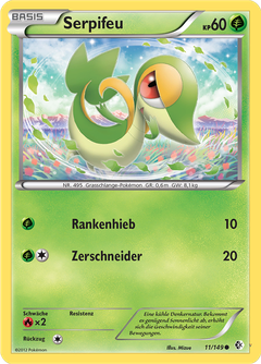 Card 11