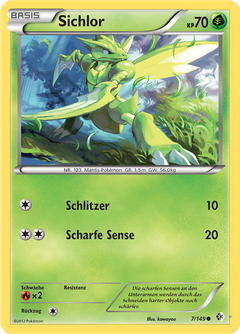 Card 7