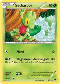 Card 6