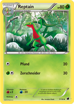 Card 7
