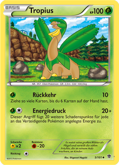 Card 5