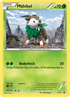 Card XY11