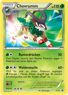 Card XY16