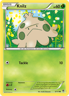 Card 6