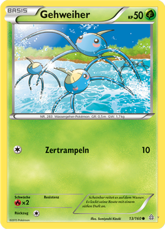 Card 13