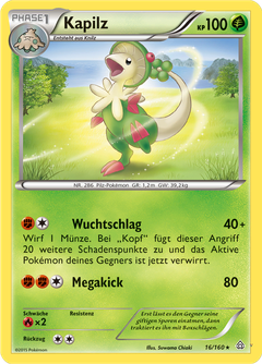 Card 16