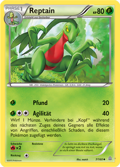 Card 7