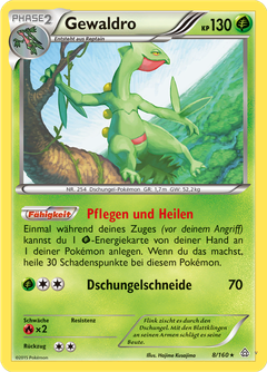 Card 8