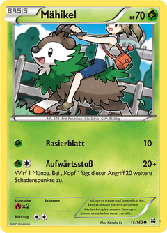 Card 16