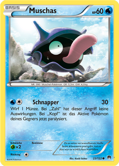 Card 23