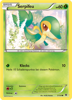 Card 5