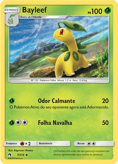 Card 7