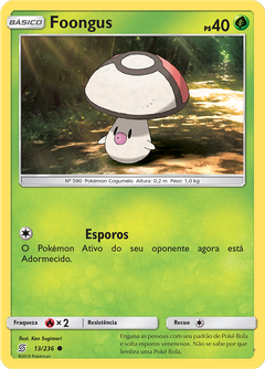 Card 13