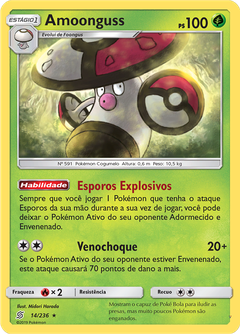 Card 14