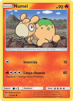 Card 23