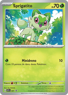 Card 13
