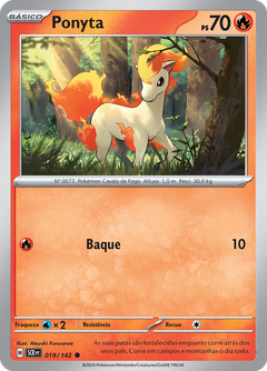 Card 19