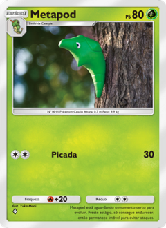 Card 6