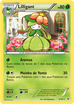 Card 5